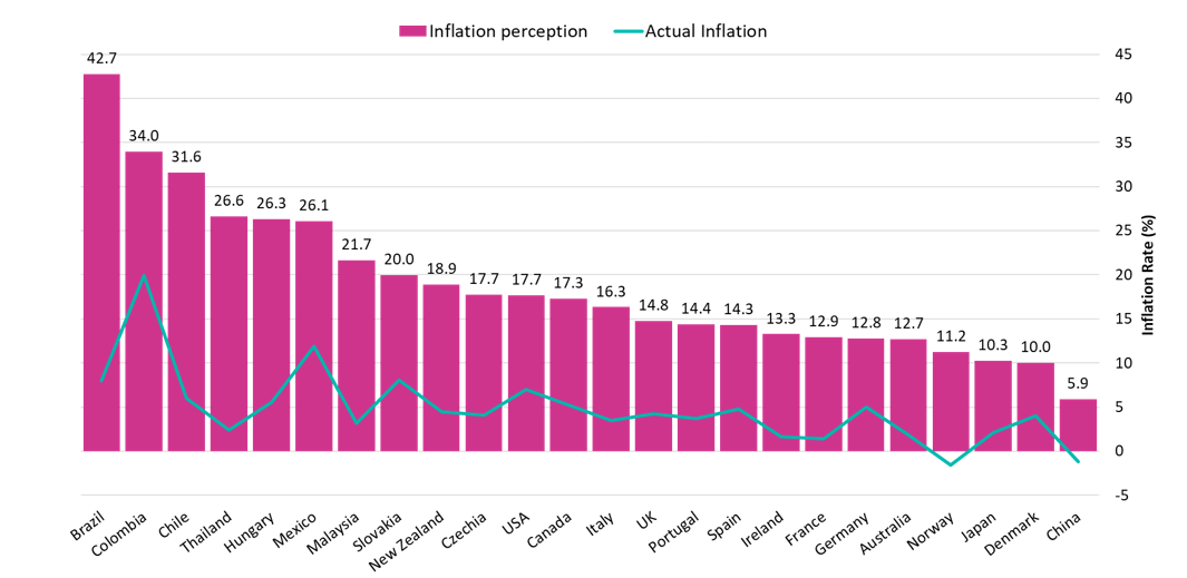 Global Inflation perception vs Actual inflation chart